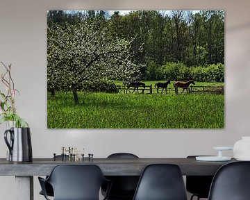 Paarden en lentebomen