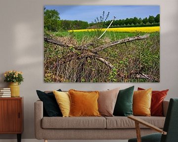 Dood hout met koolzaadveld