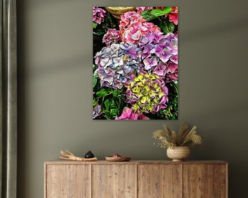 Hortensias magnifiques 1 sur Dorothy Berry-Lound