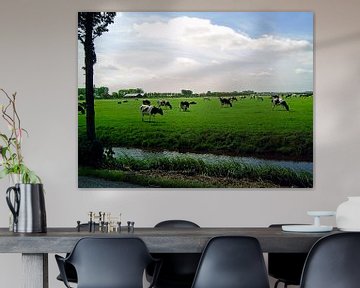 Vaches au pâturage sur Frank Kleijn