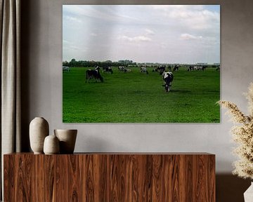 Koeien in wieland van Frank Kleijn
