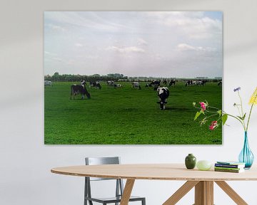Koeien in wieland van Frank Kleijn