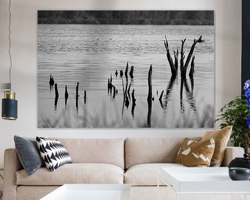 Echos of Serenity by Jos Jurjens