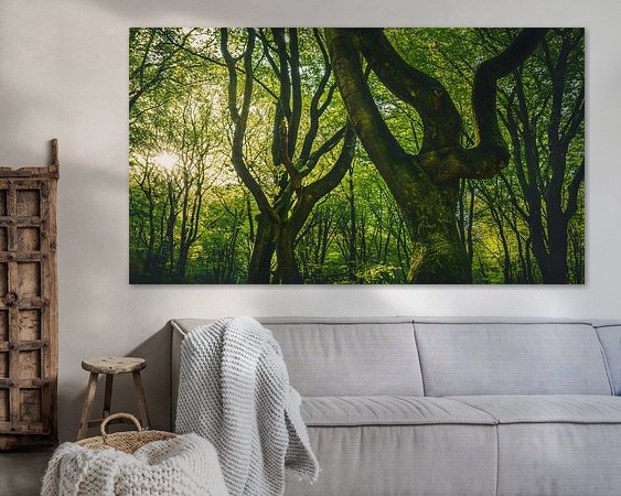 Aperçu de la chambre