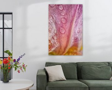 Bloemblaadje met regendruppels Roze en Geel van Iris Holzer Richardson