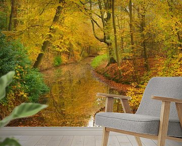 Bos met gele bladeren in de herfst van Michel van Kooten