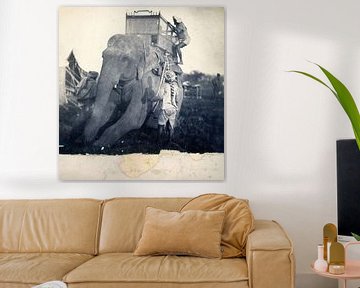 Antique photo black and white with elephant