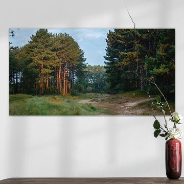 Amsterdam water supply dunes