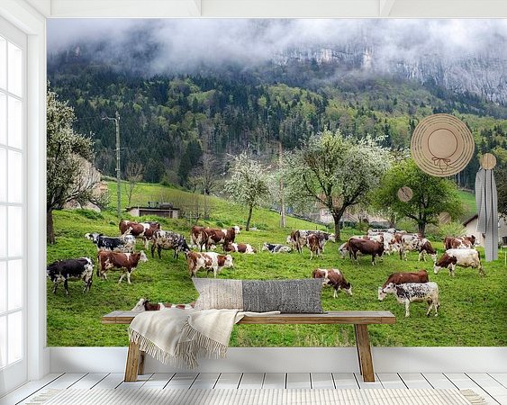 Raumvorschau