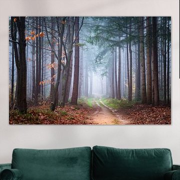 Verdwaalt in een droom