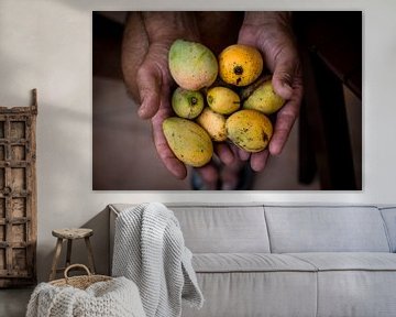 Tropical fruit, mango, tropical fruits, juicy mangoes by Corrine Ponsen