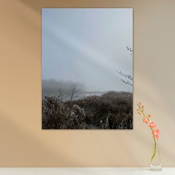 Niederländische Natur