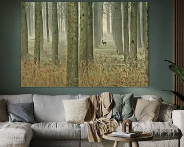 "In het bos" van Niek Goossen