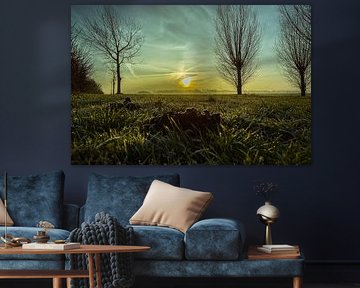 landscape netherlands. by C Witvliet