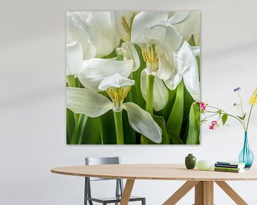 My Favorite White Tulips van Joke de Jager
