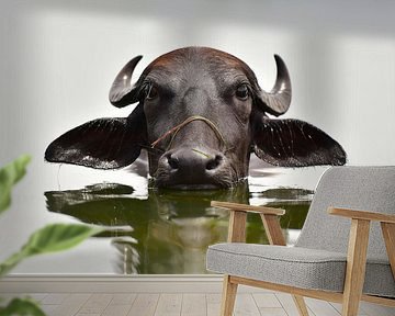 Cool cooling water buffalo in the Ken River in India by Koen Hoekemeijer