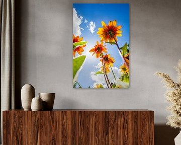 Kleurrijke bloemen van Lydia - ik ben gek op mooie plekjes!