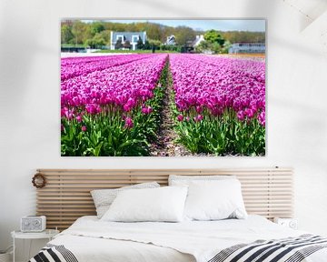 Prachtig veld met paarse tulpen van Arjan van der Veer