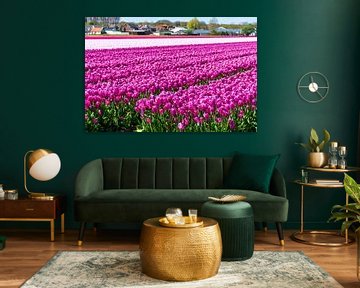 Schönes Feld mit lila Tulpen von Arjan van der Veer