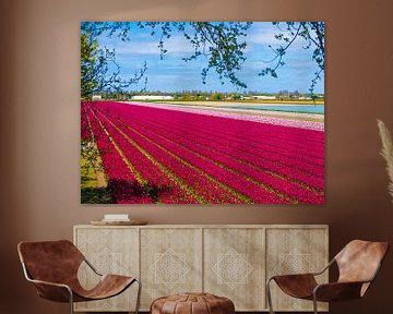 Beautiful vista to field of red tulips by Arjan van der Veer