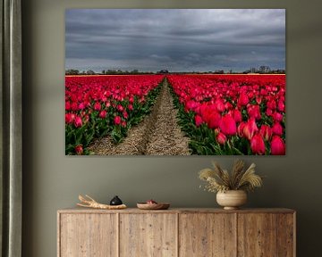 Rode tulpen met dreigende lucht van peterheinspictures