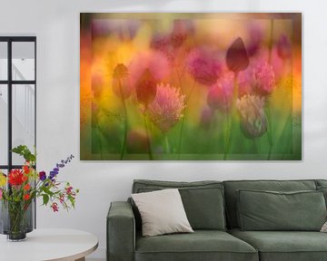 Une explosion de couleurs des fleurs d'été (montage créatif de différentes fleurs) sur Birgitte Bergman