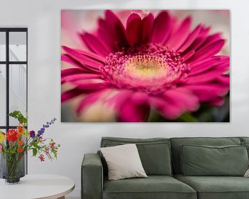 Gerbera Daisy Flower Macro by Leo Schindzielorz