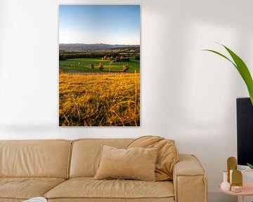 View of the Allgäu Alps and the Grünten mountain range by Leo Schindzielorz