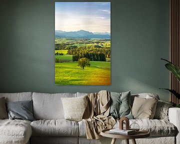 Blick über das Allgäu auf die Allgäuer Alpen und den Grünten von Leo Schindzielorz