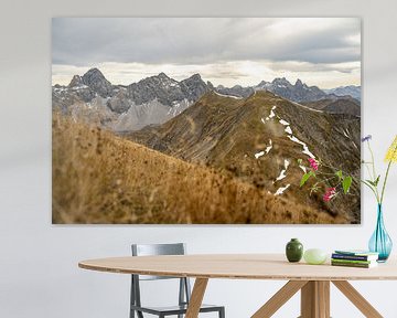 Allgäu Hoge Alpen van Leo Schindzielorz