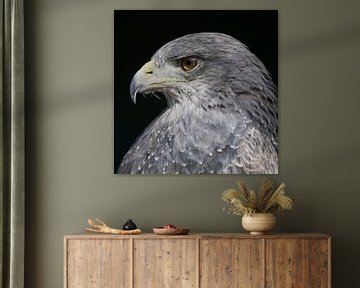 Eagle van Arie Storm