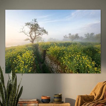 Frühling in den Schützengräben