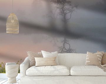 Lente weerspiegelingen in de boomgaard