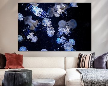 Blue jellyfish by Henk van Esveld