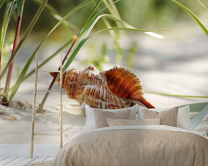 Beispiel fototapete: Muschel Träume am Strand von Tanja Riedel