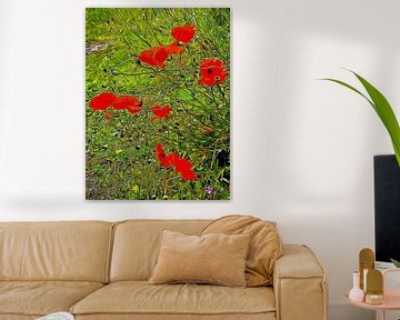 Roter Mohn und Samenkapseln von Dorothy Berry-Lound