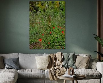 Impressions de fleurs sauvages avec des oliviers sur Dorothy Berry-Lound