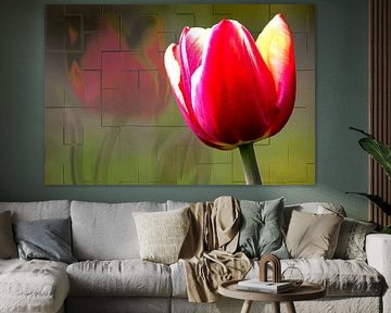FLORA : GARDEN TULIP by Photoart-Naegele