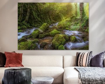 Small torrent in the Black Forest by Hans-Bernd Lichtblau