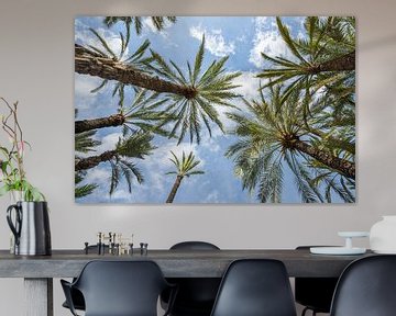 Majestueuze palmbomen van onderen gezien van Arja Schrijver Fotografie