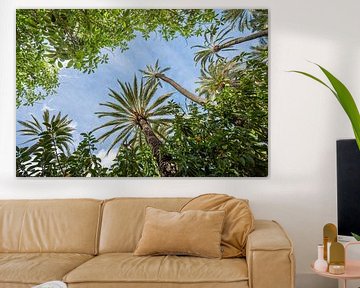 Palmen in El Palmeral, Spanien von Arja Schrijver Fotografie