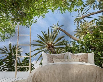 Palm trees in El Palmeral, Spain by Arja Schrijver Photography