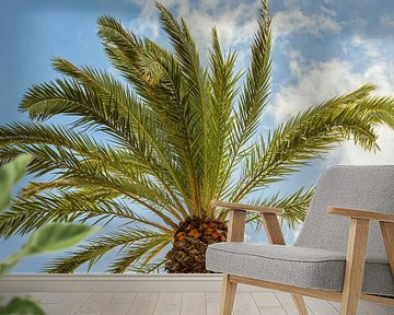 Swaying palm tree in the sun by Arja Schrijver Photography