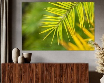 Palmblad in het groen van Arja Schrijver Fotografie