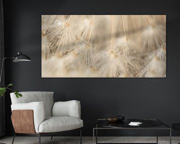 Panorama of fluff to abstract lines by Marjolijn van den Berg
