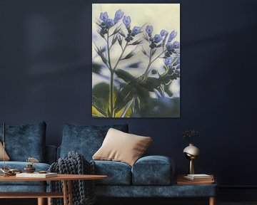 Blue Wood hyacinth by Niek Traas