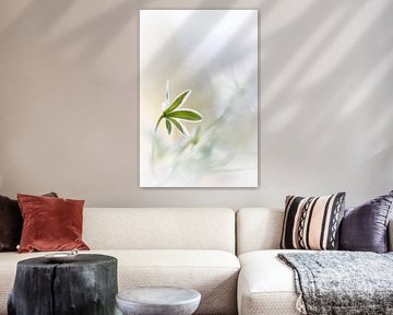 Blüte in beige-weiß (Vogelmilch) von Patricia van Kuik