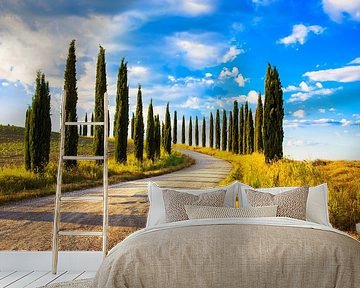 Country road with cypress trees. Tuscany by Stefano Orazzini