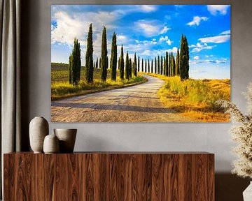 Landweg met cipressen. Toscane van Stefano Orazzini
