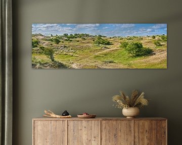 Panorama beeld van de Hollandse duinen van eric van der eijk